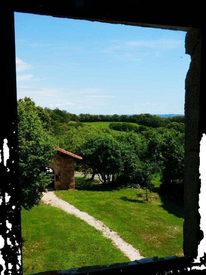 Grande Maison De Caractere En Pierres -Superbe Vue Saint-Cirgues  Екстер'єр фото